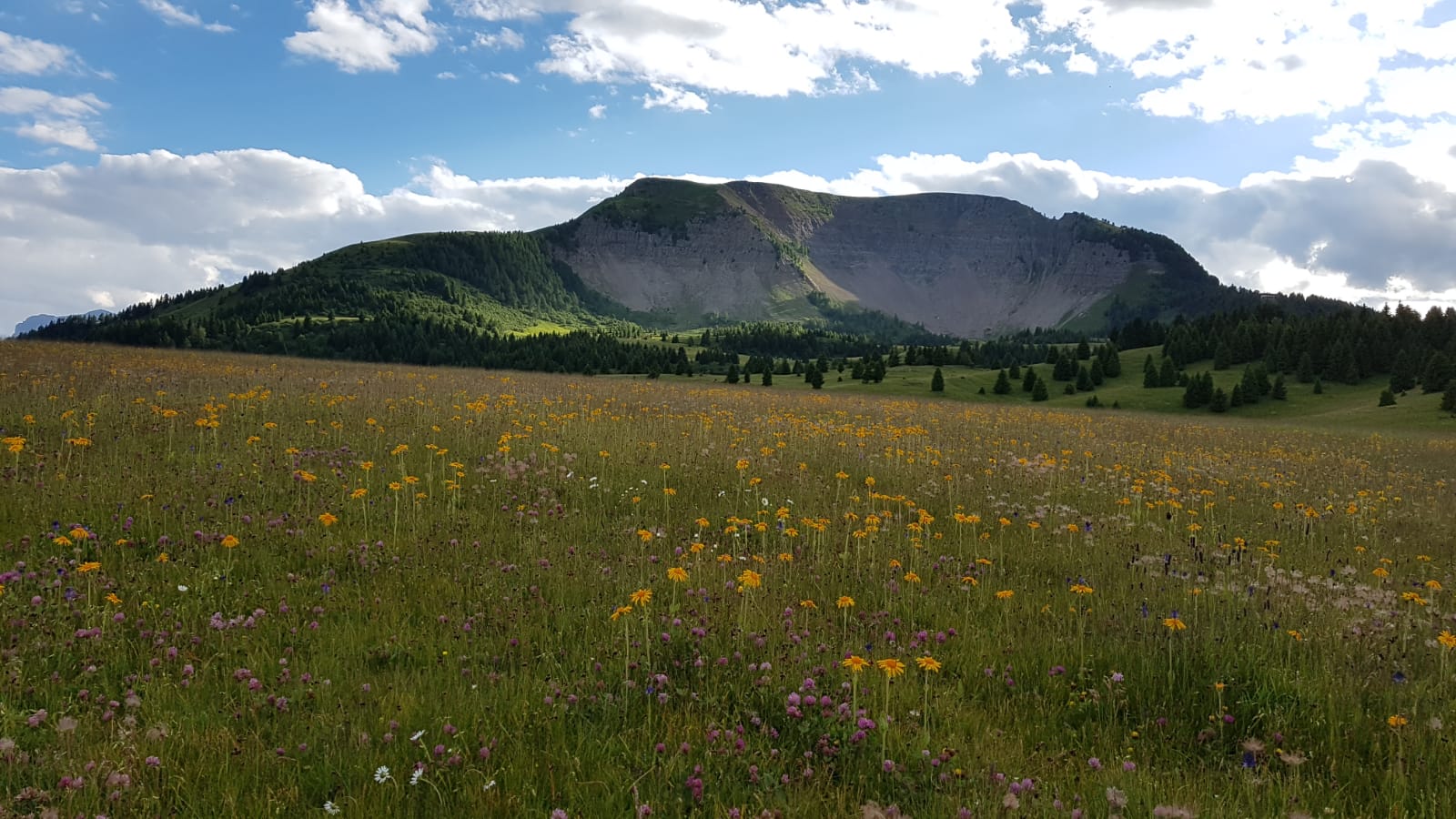 Wunderbare Landschaft